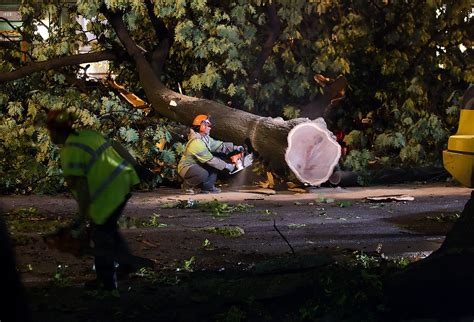 Home in Michigan split in two by tree during violent storm: Watch .